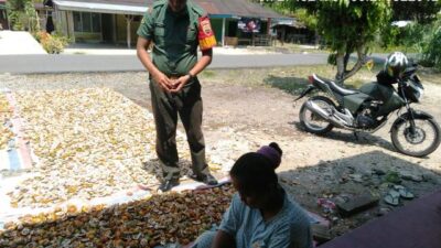 Babinsa Semangati Warga Pemilik Pinang