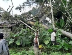Sepanjang 2020, BPBD Catat 194 Bencana Alam Terjadi di Agam