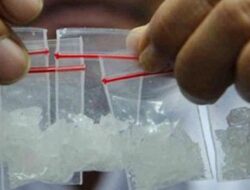 Analisis Methamphetamine pada Rambut Pengguna Sabu dengan Menggunakan Gas Kromatografi Spekstroskopi Massa