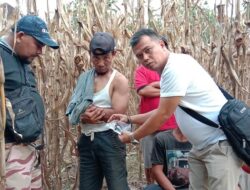 Nyambi Jual Sabu, Petani Ditangkap di Kebun Jagung