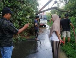 Jalan Baso – Tanah Datar Sempat Tertutup Longsor