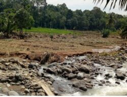 100 Hektare Sawah di Ampek Nagari Rusak Akibat Banjir Bandang 