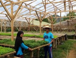 Bersama Bank Nagari Syariah Batusangkar, Nikmati Keberkahan di Ladang Mas Malin