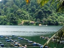 Wisatawan Mulai Ramai Berkunjung Maninjau