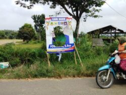 Baliho Bacalon Bupati Dharmasraya Dirusak