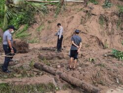 Jemput Kerbau, Warga Padang Gantiang Tertimbun Longsor