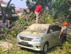 Pohon Tumbang di Ahmad Yani, Dua Mobil Rusak
