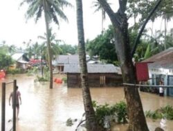 Dua Jorong di Pasaman Barat Banjir