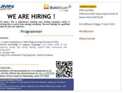 PT Bukit Asam Buka Lowongan Kerja untuk Programmer