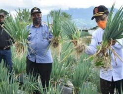 Ancaman Krisis Pangan Akibat Covid 19, Agam Level Aman
