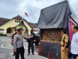 Polhut Agam Amankan Truk Muatan Kayu Diduga Ilegal