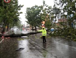 Hujan Angin Landa Padang, Hati-hati Ada Pohon Tumbang