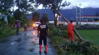 BMKG Peringatkan Potensi Hujan Lebat Disertai Angin Kencang di Sebagian Besar Wilayah Indonesia
