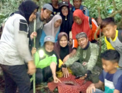 Pantau Kondisi Hutan Sungai Jauih, Warga Nagari Koto Gadang Anam Koto Temukan Raflesia Arnoldi