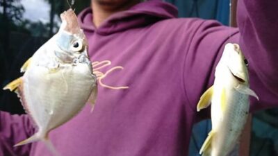 Ini Spot Memancing di Padang bagi Pemula