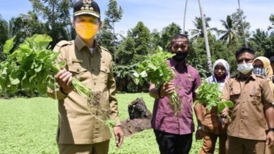 Sektor Pertanian Tulang Punggung Perekonomian Rakyat