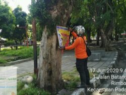 DLH Padang Cabuti Paku dan Reklame di Pohon Pelindung