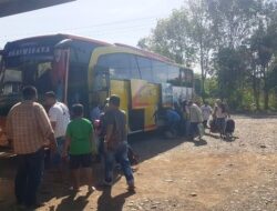 Tak Ada Hasil Rapid Tes, 72 Tenaga Kerja asal Medan Dipulangkan Lagi
