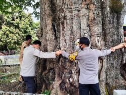 Kabid Humas Polda Sumbar ‘Peluk’ Pohon Berusia Seribu Tahun