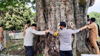 Kabid Humas Polda Sumbar ‘Peluk’ Pohon Berusia Seribu Tahun