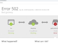 Website ppdbsumbar2020.id Error tak Bisa Diakses