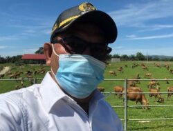Saat Ini DPRD Sumbar Tengah Evaluasi 170 Perda