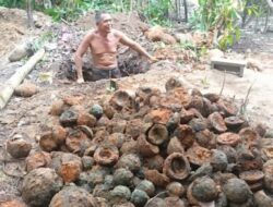Gali Septic Tank, Warga Bonjol Temukan Ratusan Diduga Peluru Meriam Tuanku Imam Bonjol