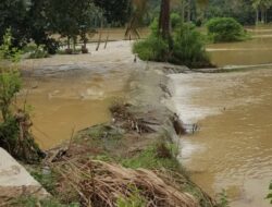 Tiga Hari Diguyur Hujan, Kampung Surau Direndam Banjir