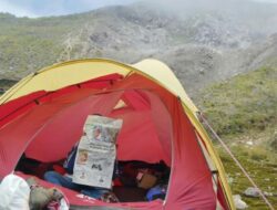 Bunga Edelweis Mekar di Gunung Pesona Tiga Danau, Pendaki Dilarang Memetik