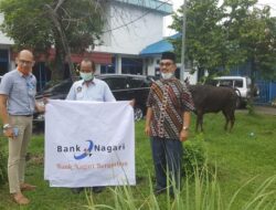 Bank Nagari Serahkan Hewan Kurban ke PWI Sumbar