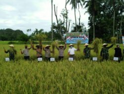 Panen Raya Sungai Pisang, Spirit Memajukan Daerah