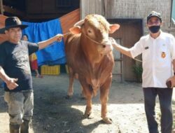 600 Kupon Daging Kurban Joko Widodo untuk Warga Padang Siap Disebar