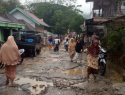 Banjir di Talang Babungo Selain Rusak Rumah, juga Landa Lahan Persawahan