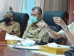 Ini Upaya Pemprov Sumbar Bangkitkan Perekonomian Daerah di Masa Pandemi Covid-19