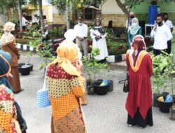Dinas Pertanian Pangan dan Perikanan Pariaman Bagi-bagi Bibit Tanaman