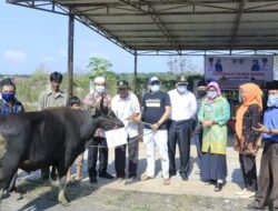 Pemkab Dharmasraya dan LKKS Bagikan Hewan Kurban ke Sejumlah Masjid