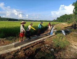 Digiring Athari Gauti, Dharmasraya Ketiban Paket Pekerjaan Pembangunan Irigasi