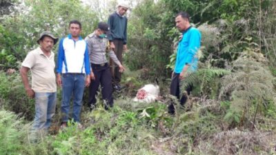 Kambing Warga Agam Diterkam Satwa Liar