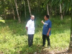 Disdikbud Pasaman Survei Lokasi Pembangunan TK Pembina Kecamatan Panti