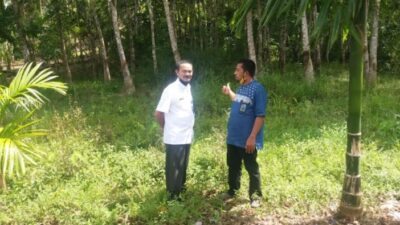 Disdikbud Pasaman Survei Lokasi Pembangunan TK Pembina Kecamatan Panti
