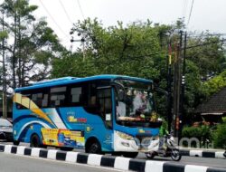 Naik Bus Trans Padang Hanya Bayar Rp1 pada 7 Agustus