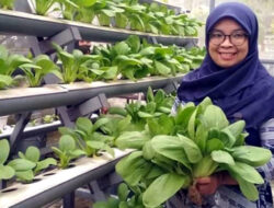 Melalui Bunga, Gerakkan Ekonomi Desa