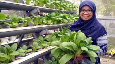 Melalui Bunga, Gerakkan Ekonomi Desa