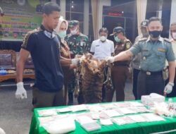 Kejari Bukittinggi Musnahkan Barang Bukti Narkoba dan Kulit Harimau