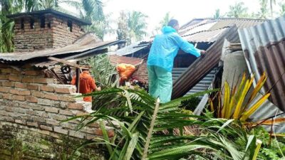 Rumah Warga Manggopoh Rusak Dihantam Pohon Tumbang