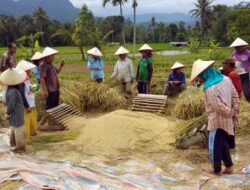 Jaringan Nurkhalis ke Pusat Bagus untuk Limapuluh Kota