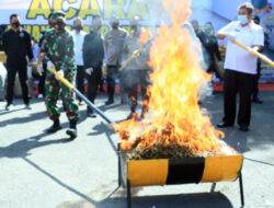 Polda Sumbar Musnahkan Narkoba, Ratusan Kilogram Ganja dan 15 Kilogram Katinon