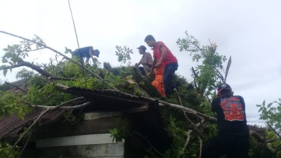 Rumah Warga Tiku rusak Ditimpa Pohon