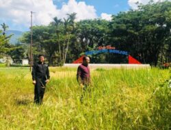 Sudah Bersemak,  Taman Wisata Equator Bonjol tak Terurus