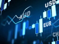 Ini Enam Cara Mudah Memulai Bisnis Trading Forex